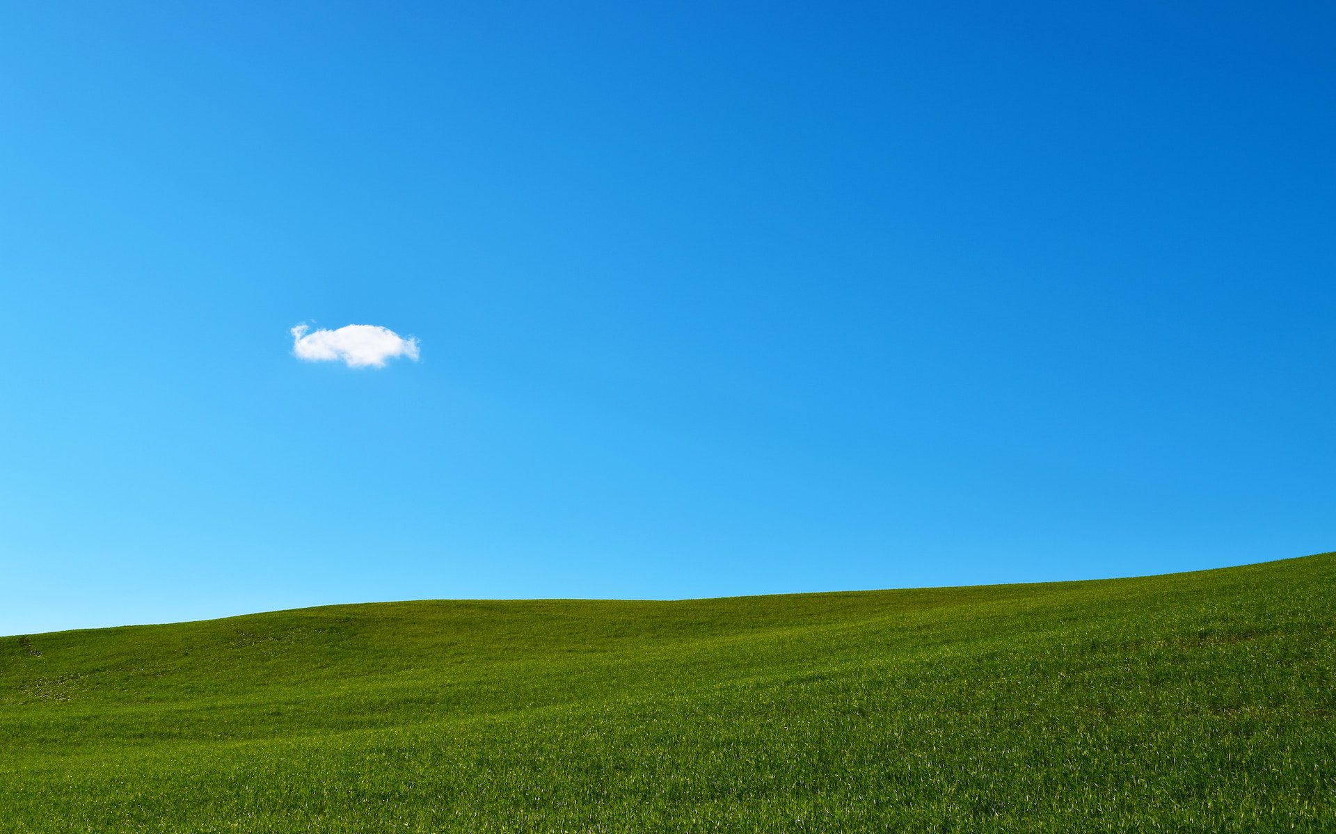 green grass with a blue sky background and cloud