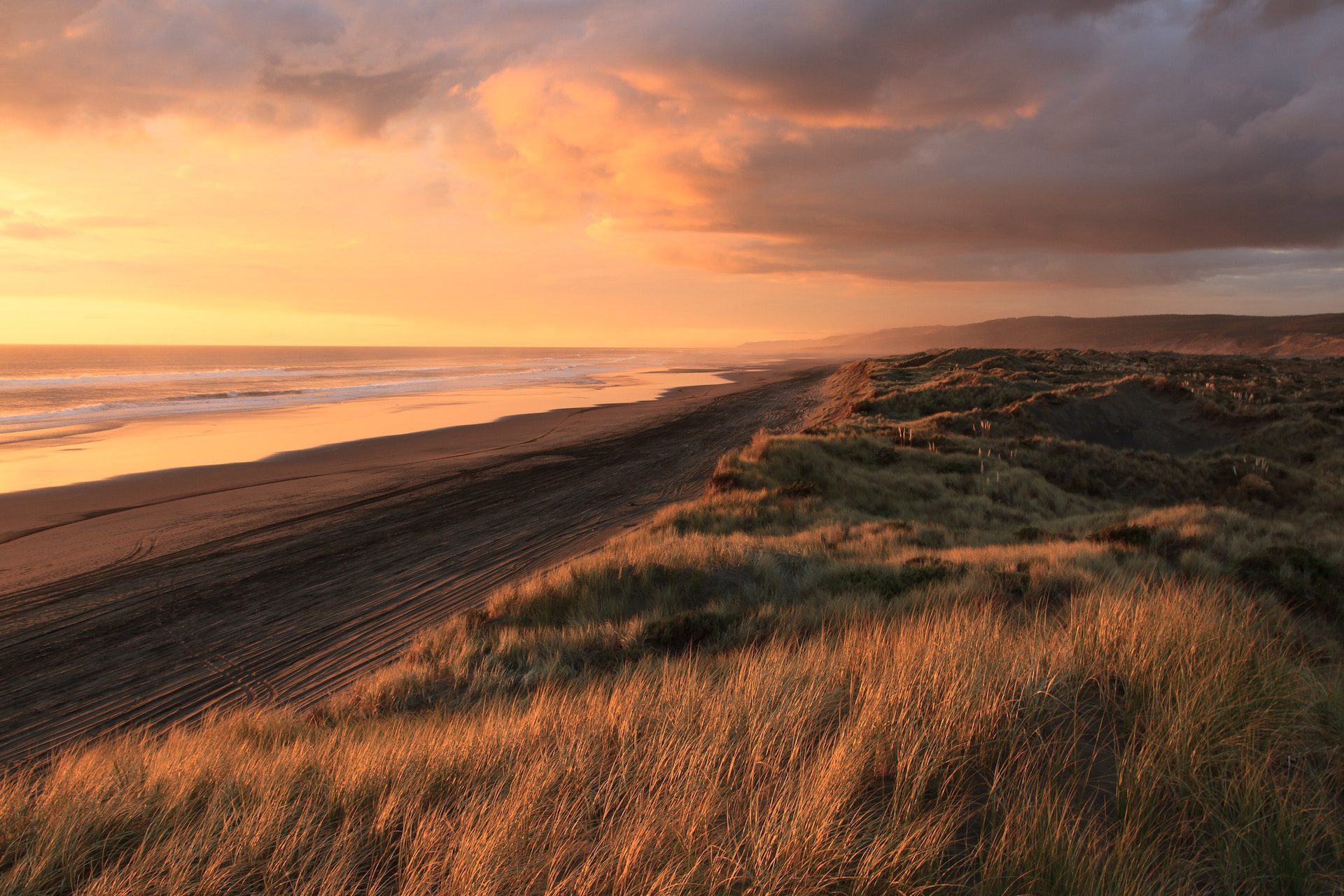 view of a beach with grass and sunset sky background