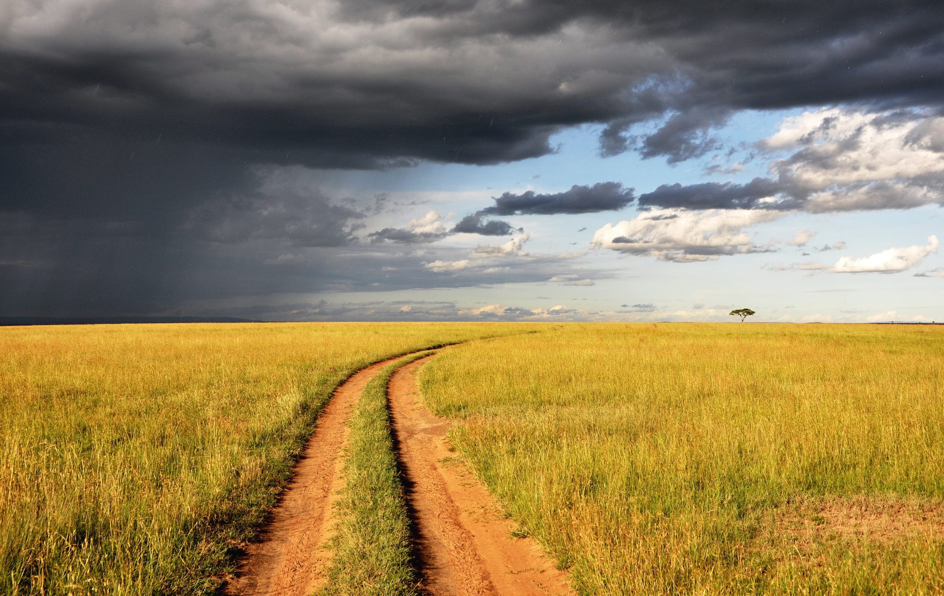 grass and a path with dark clouds in background
