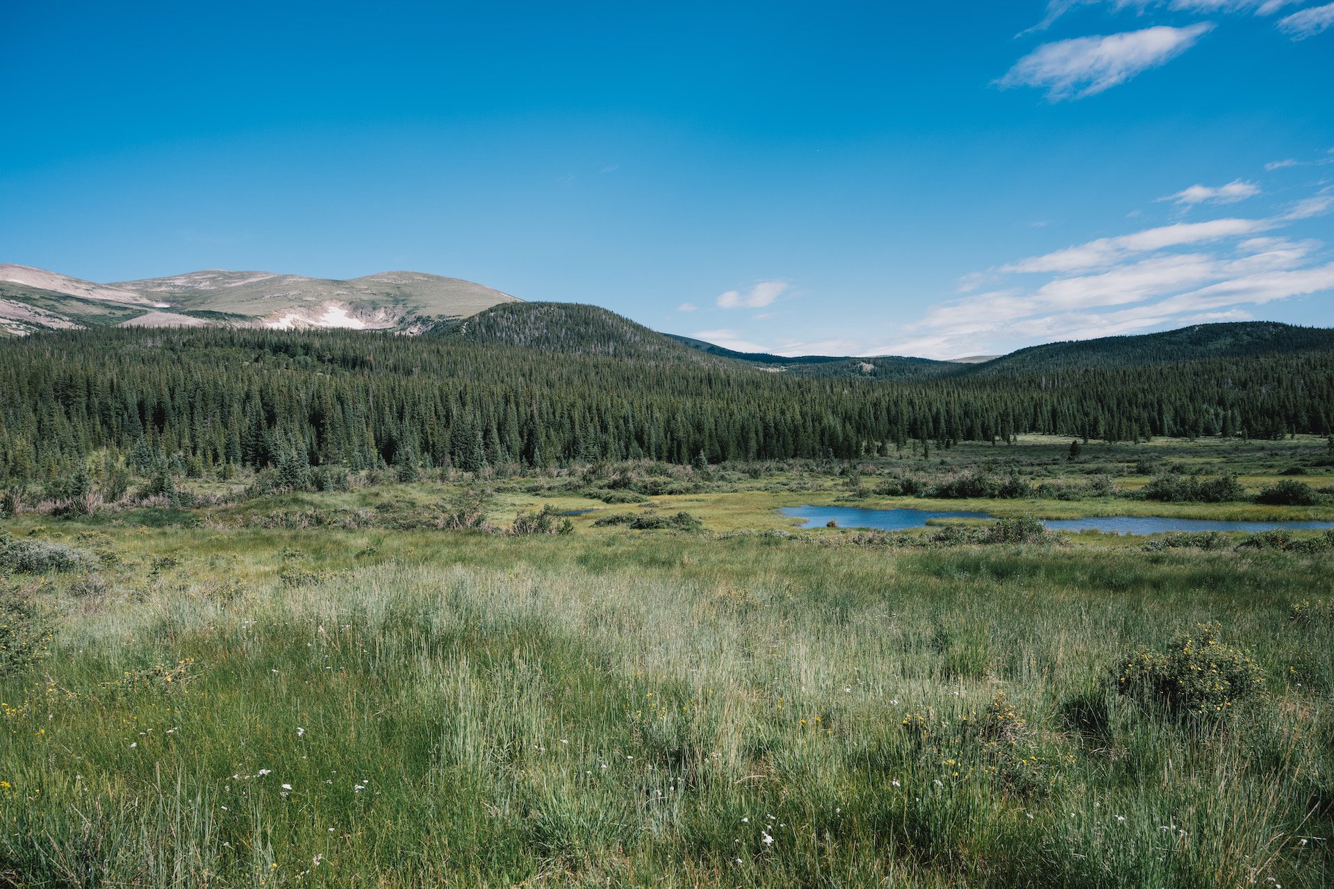 grass with lakes and mountains and a blue sky in the background