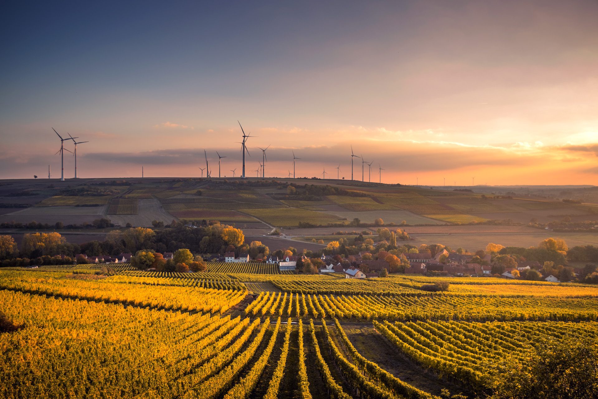 wind field with wind turbines and houses in the background