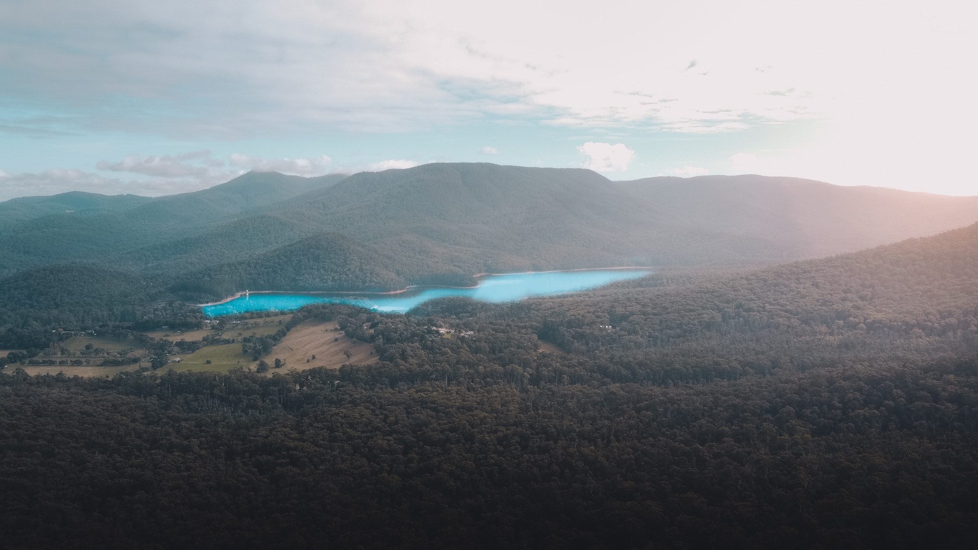 shot of a lake surrounded by trees and forest