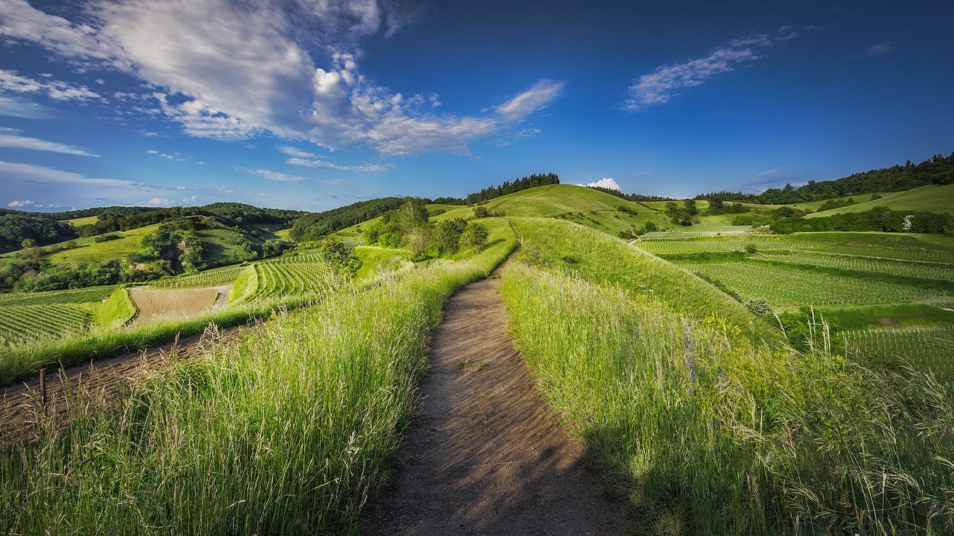 a pathway with rolling hills and a blue sky in the background