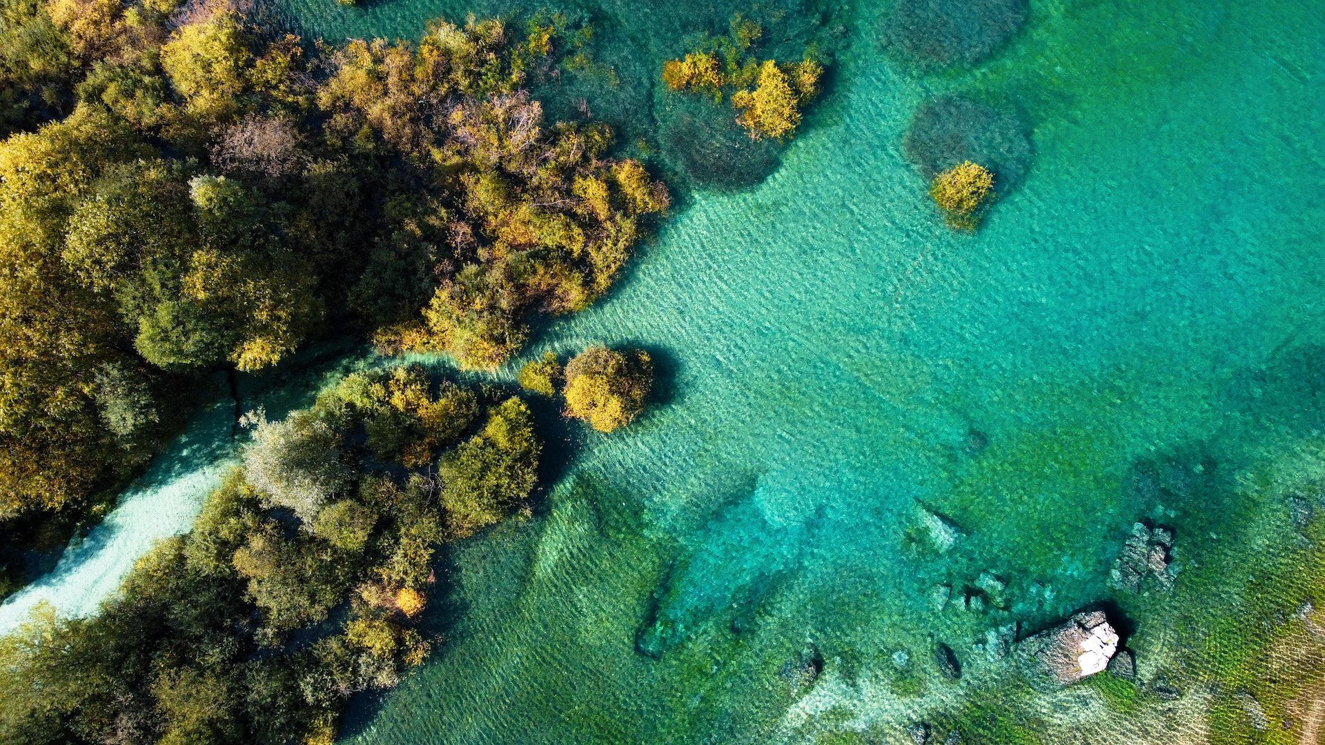 birds eye view of ocean with rocks and trees