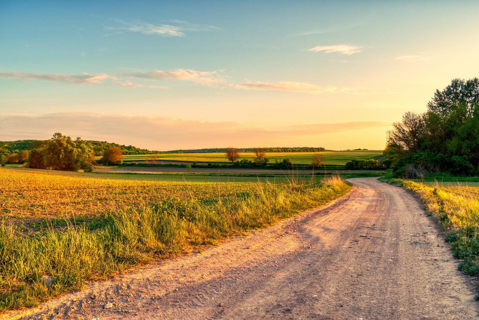 view of a road with grass and trees either side and in the distance