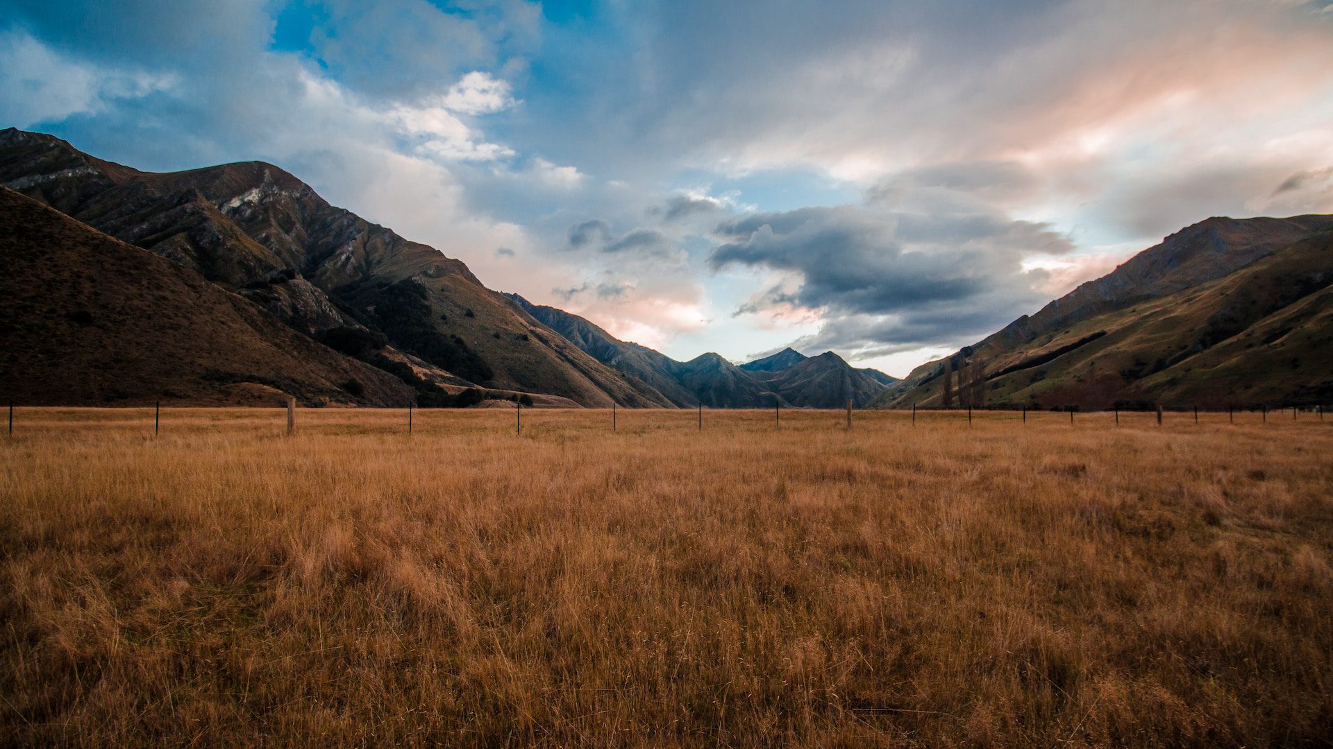 long grass with mountains in the background and a blue sky