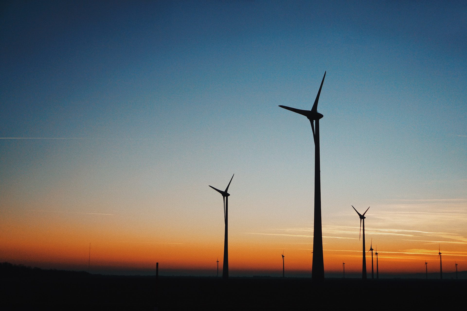 wind turbines in a wind field at sunset