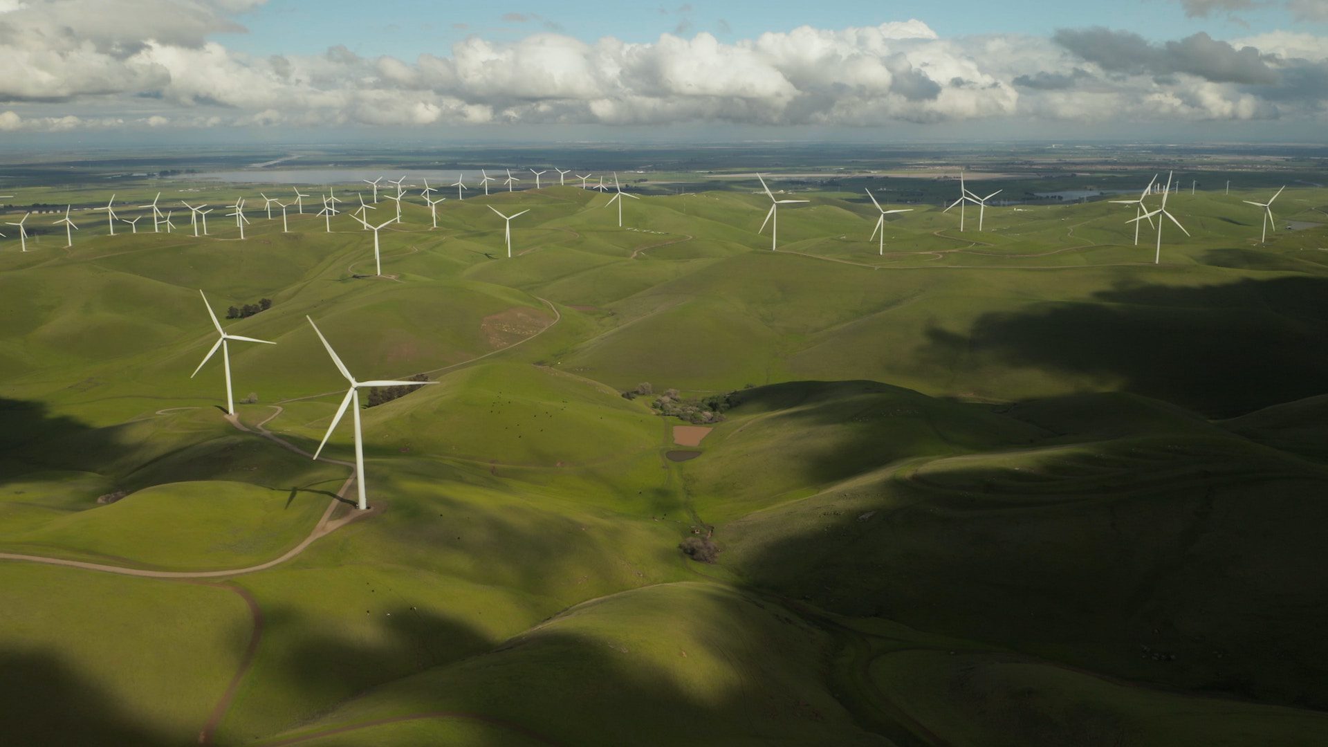 wind turbines in a wind field