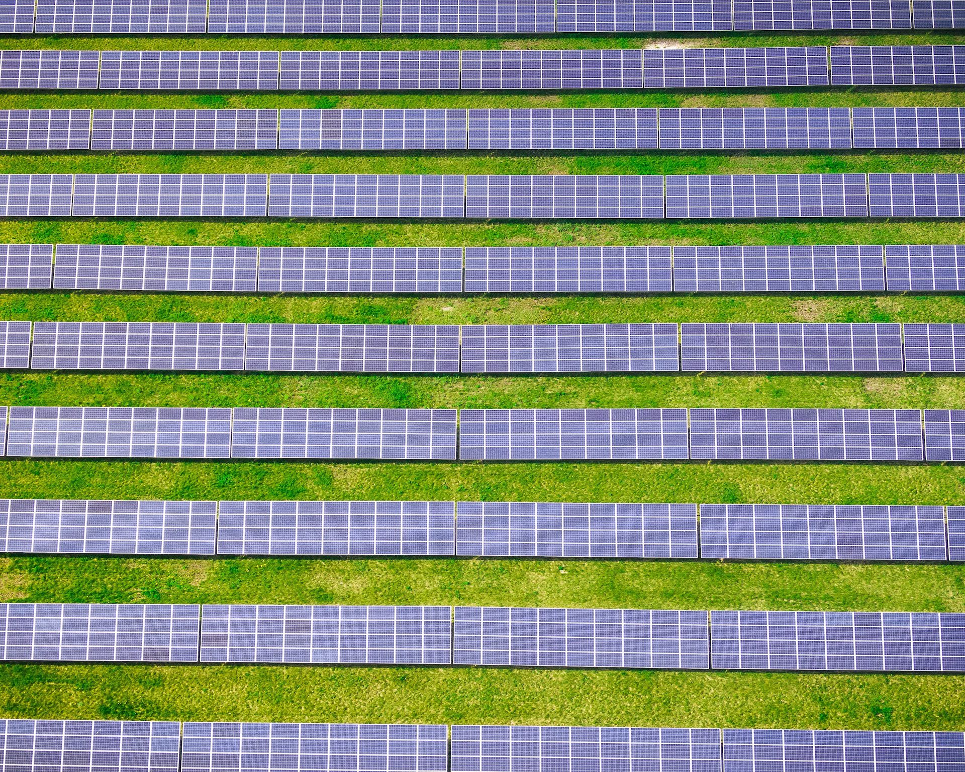 rows of solar panels and grass