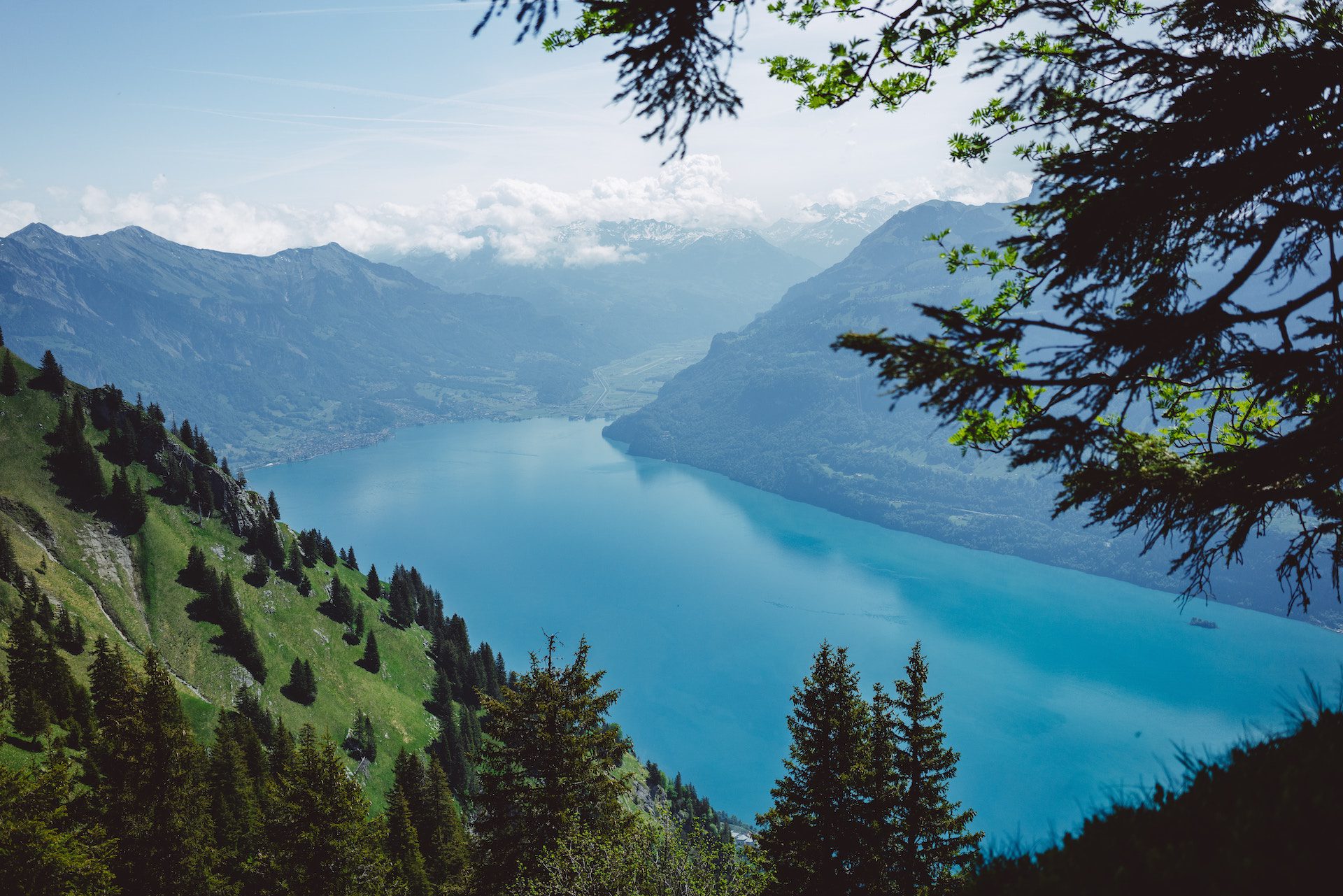 mountains and forest surrounding lake