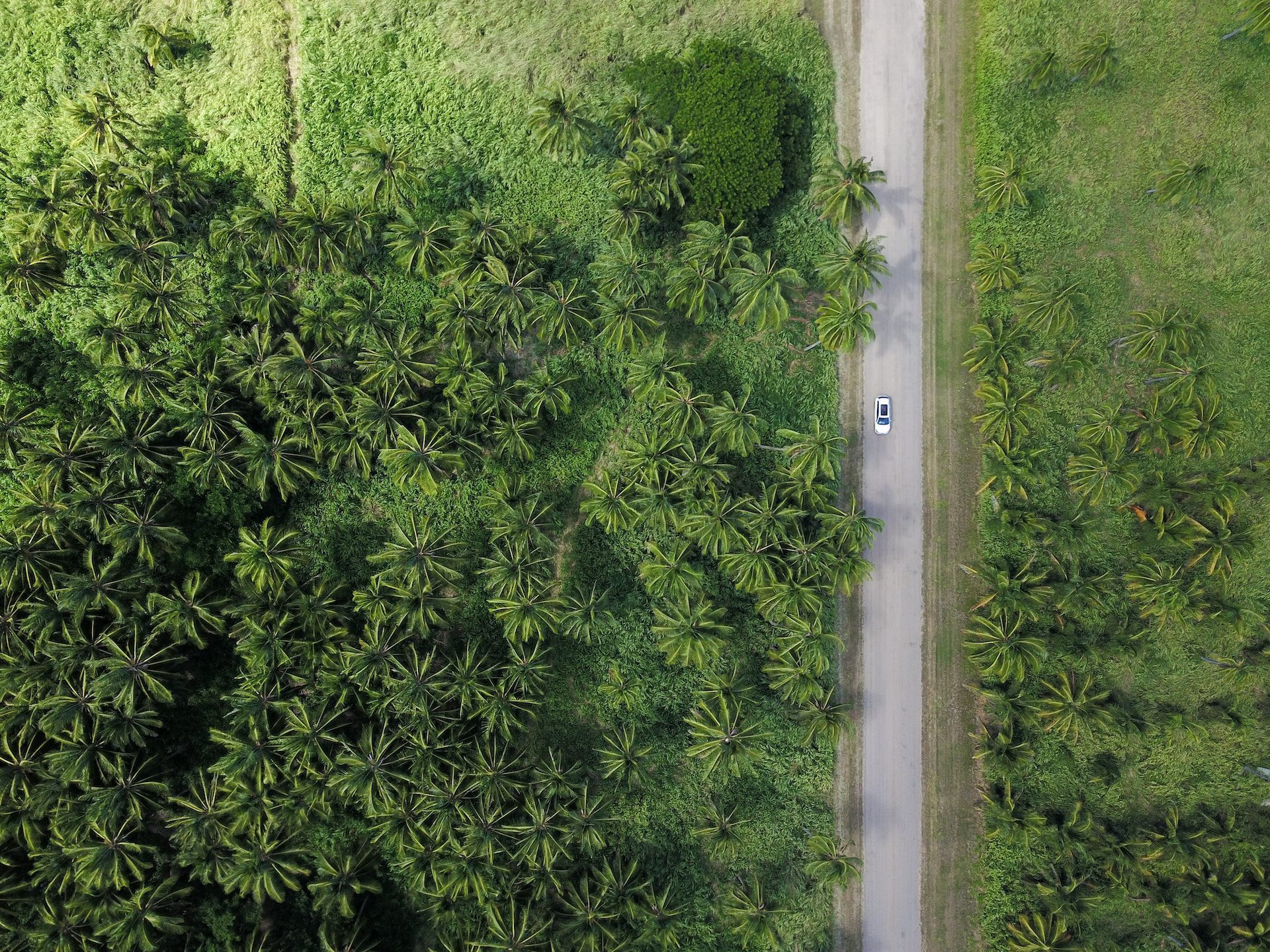 birds eye shot of white car driving down the road with green grass and trees either side