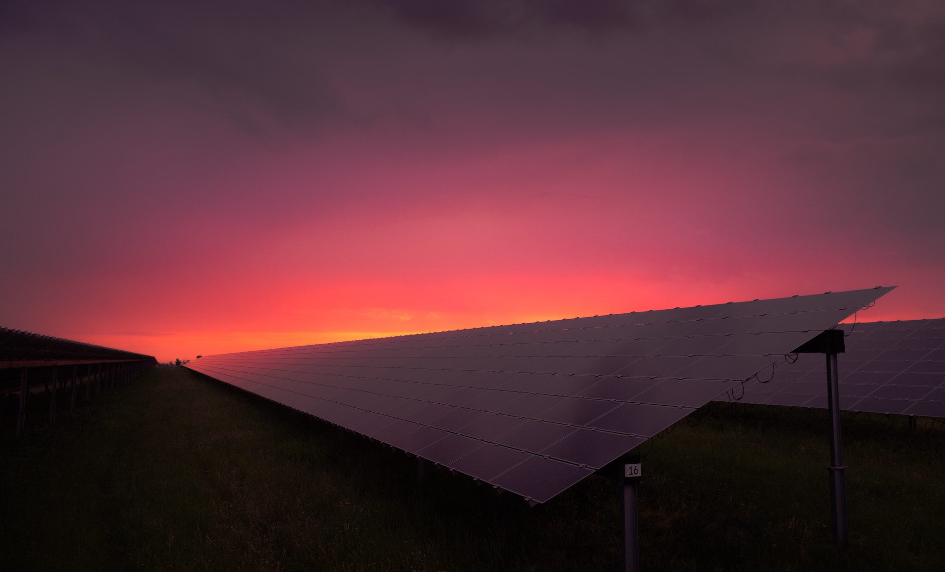 solar panels with a deep pink sunset background