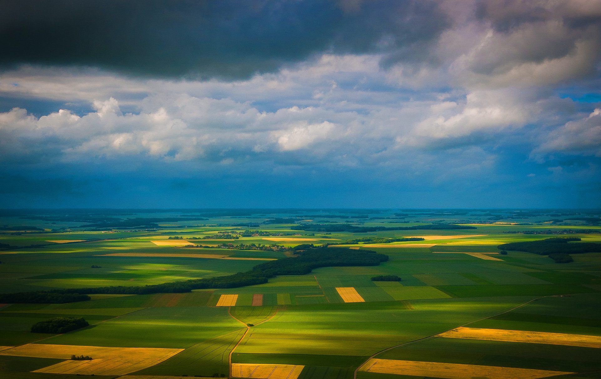 green fields and trees with a blue sky