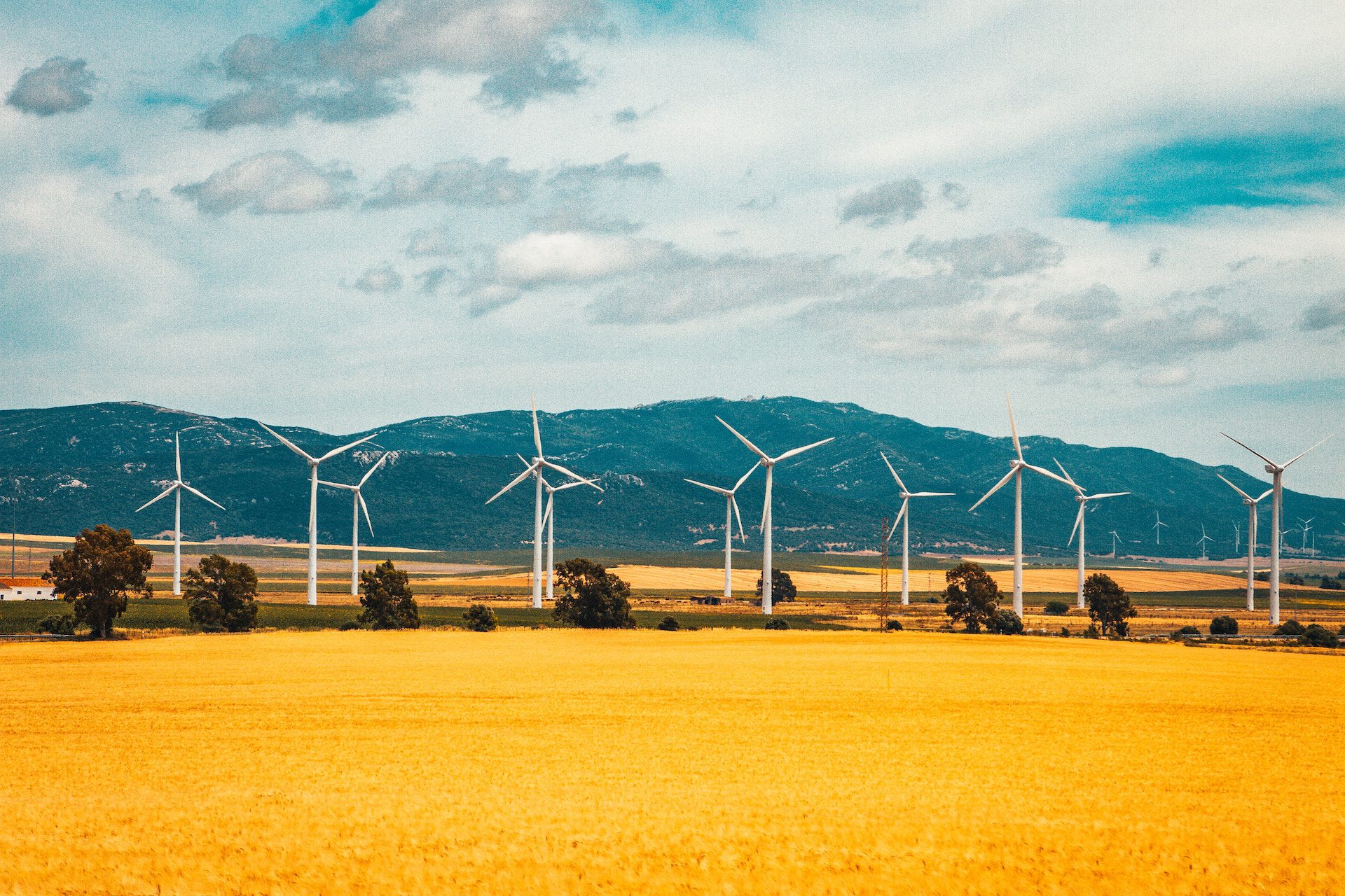 wind turbine field with yellow grass and hills in the background