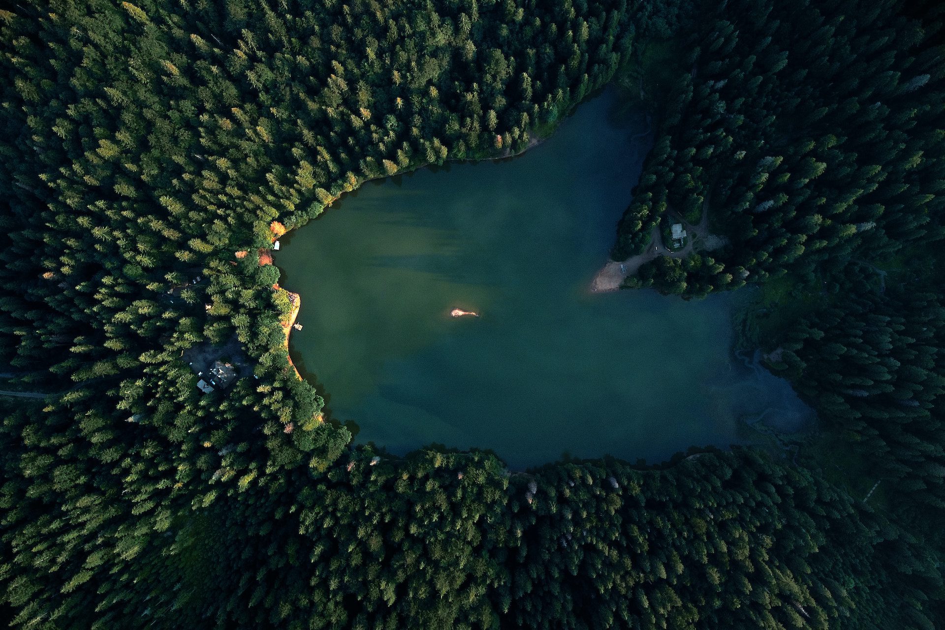 birds eye view of a lake with trees surrounding the lake